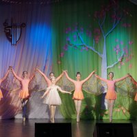 DSC02445 - копия